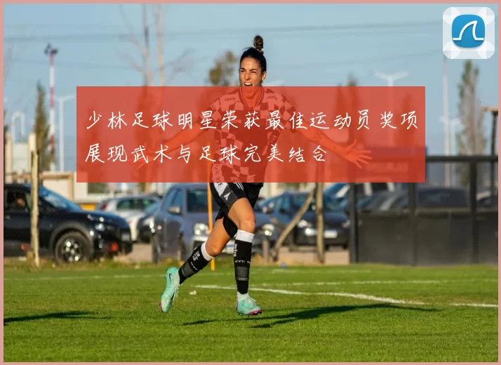 少林足球明星荣获最佳运动员奖项展现武术与足球完美结合