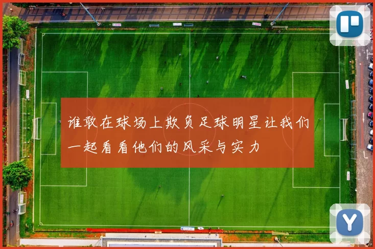 谁敢在球场上欺负足球明星让我们一起看看他们的风采与实力