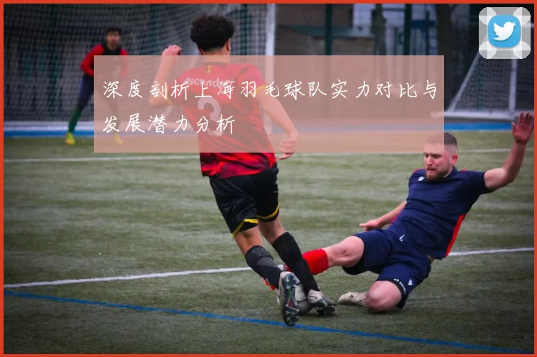 深度剖析上海羽毛球队实力对比与发展潜力分析