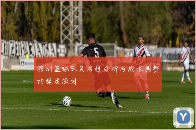 深圳篮球队灵活性分析与战术调整的深度探讨