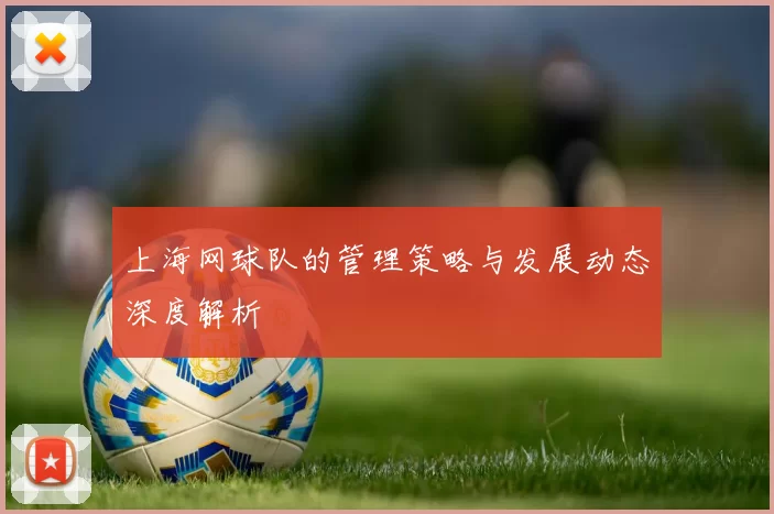 上海网球队的管理策略与发展动态深度解析