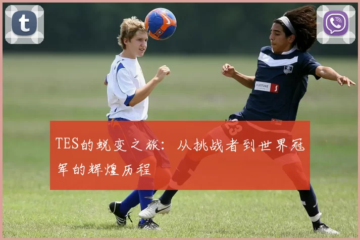 TES的蜕变之旅：从挑战者到世界冠军的辉煌历程