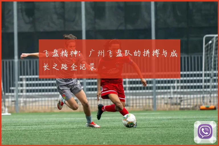 飞盘精神：广州飞盘队的拼搏与成长之路全记录