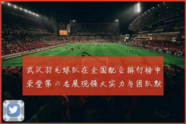 武汉羽毛球队在全国配合排行榜中荣登第六名展现强大实力与团队默契