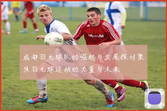 成都羽毛球队的崛起与发展探讨聚焦羽毛球运动的力量与未来