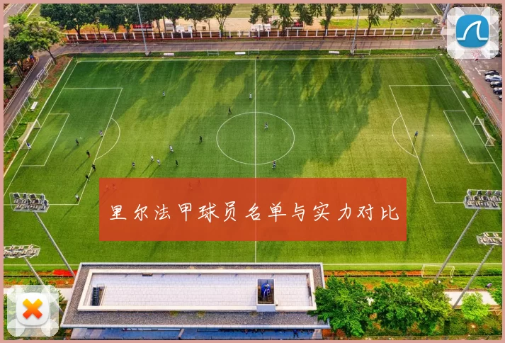 里尔法甲球员名单与实力对比