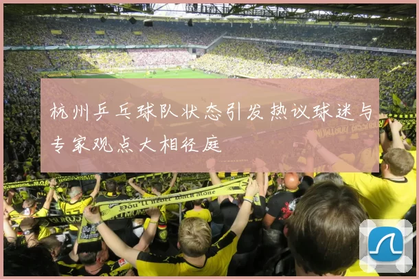 杭州乒乓球队状态引发热议球迷与专家观点大相径庭