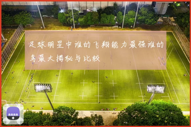 足球明星中谁的飞翔能力最强谁的鸟最大揭秘与比较
