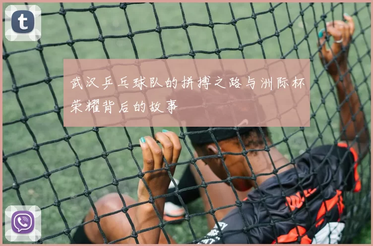 武汉乒乓球队的拼搏之路与洲际杯荣耀背后的故事