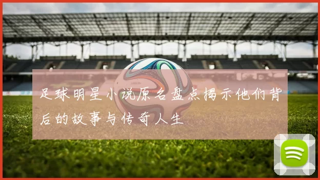 足球明星小说原名盘点揭示他们背后的故事与传奇人生
