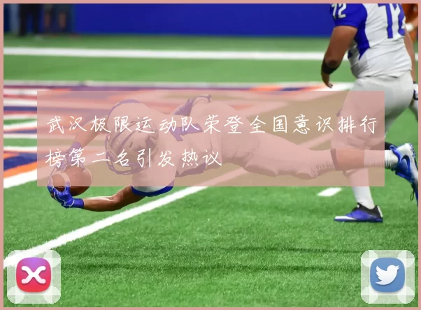 武汉极限运动队荣登全国意识排行榜第二名引发热议