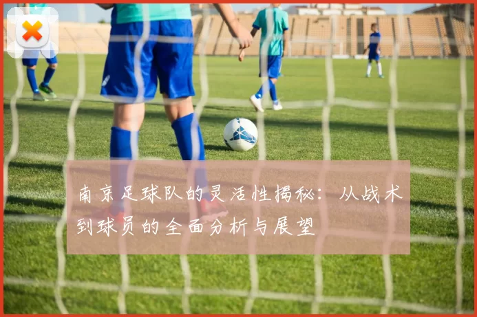 南京足球队的灵活性揭秘：从战术到球员的全面分析与展望