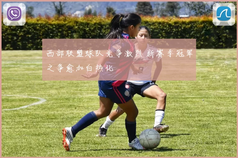 西部联盟球队竞争激烈 新赛季冠军之争愈加白热化