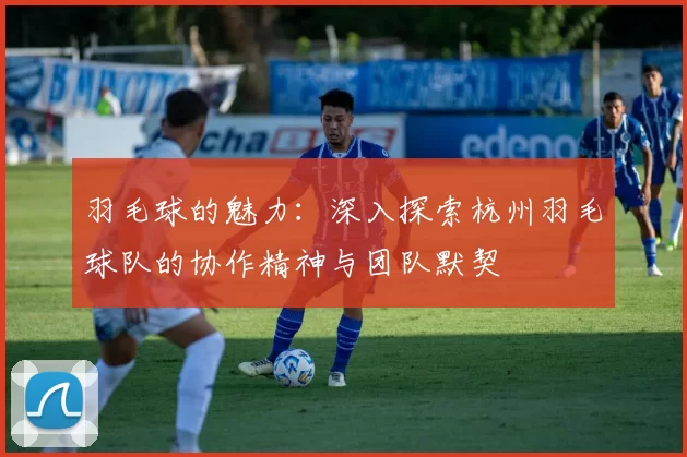 羽毛球的魅力：深入探索杭州羽毛球队的协作精神与团队默契