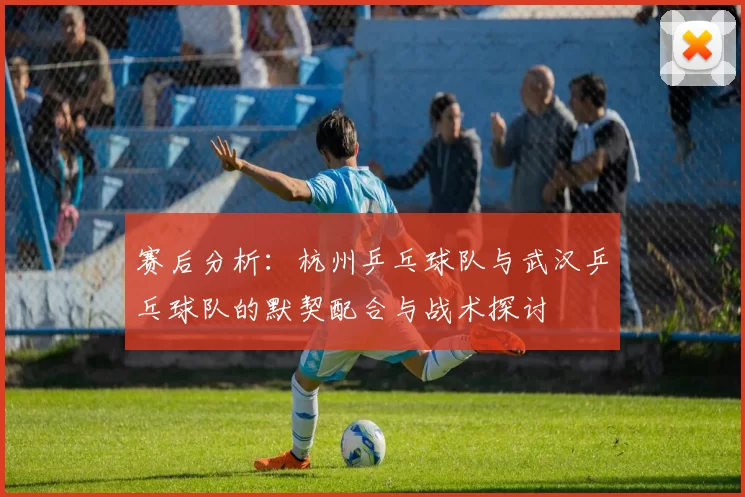 赛后分析：杭州乒乓球队与武汉乒乓球队的默契配合与战术探讨