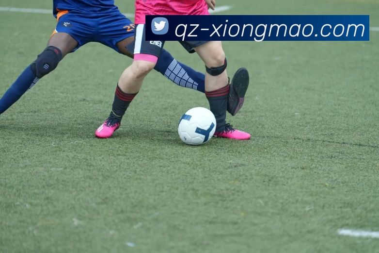 熊猫体育平台生态图