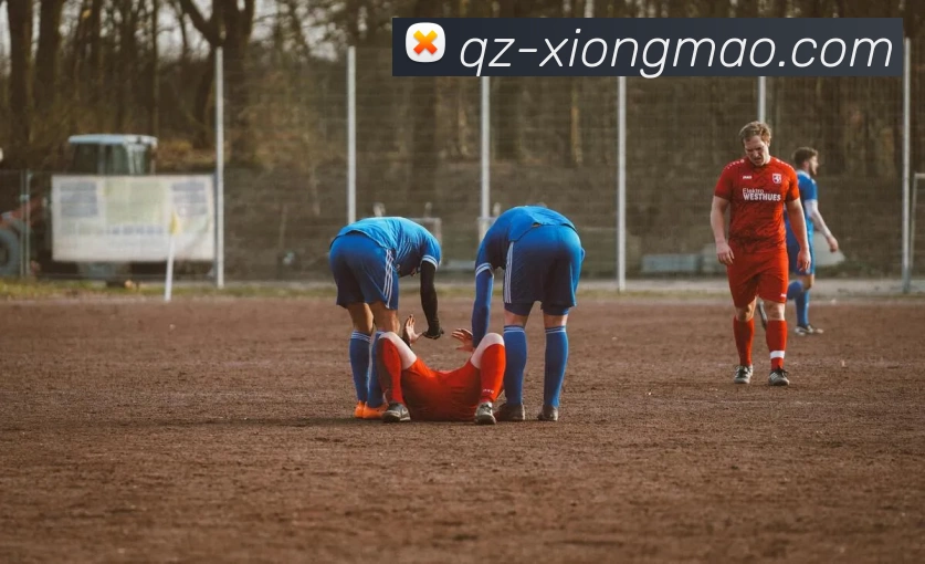 熊猫体育APP 封面图